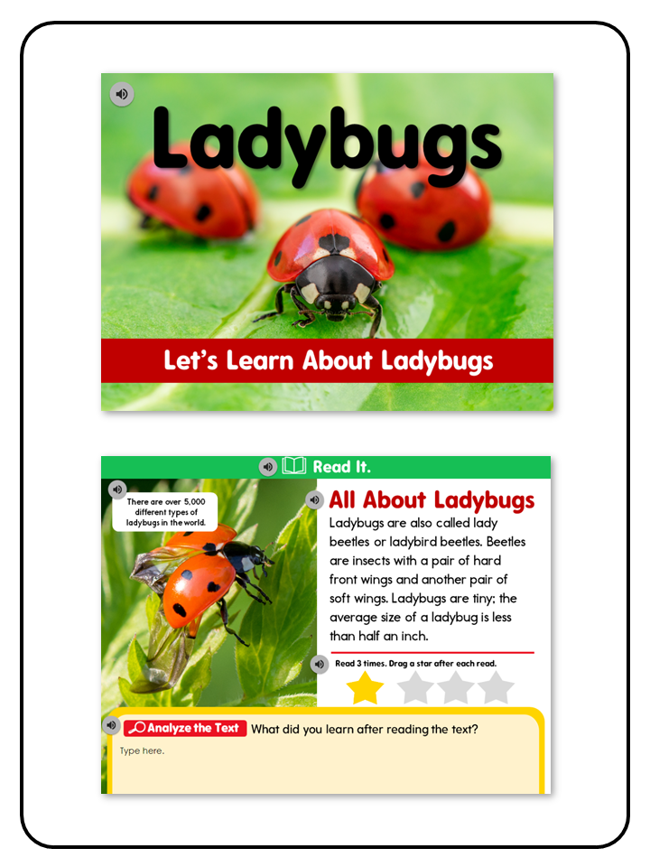 Listening Center All About Ladybugs - Digital Resource