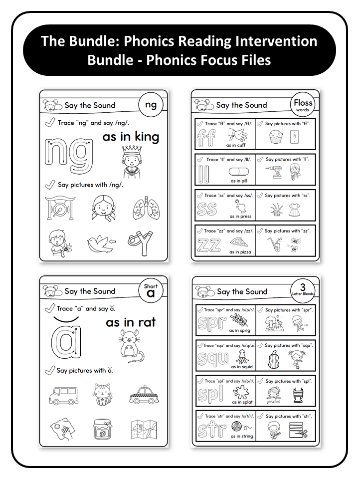 Phonics Reading Intervention Bundle - Phonics Focus Files