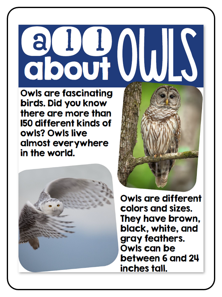 All About Owls - Nonfiction Activities