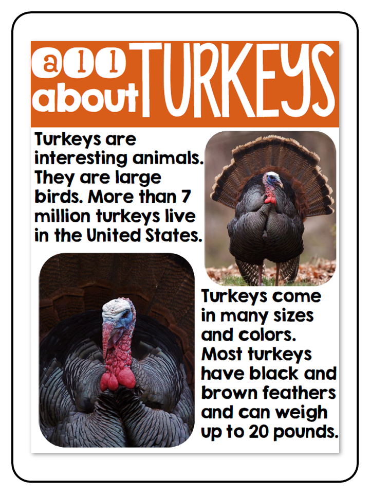 All About Turkeys - Nonfiction Activities