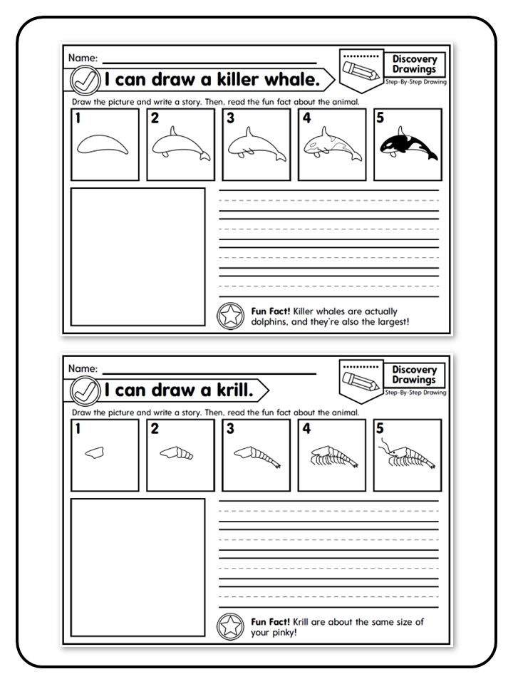 Directed Drawings - K Animals