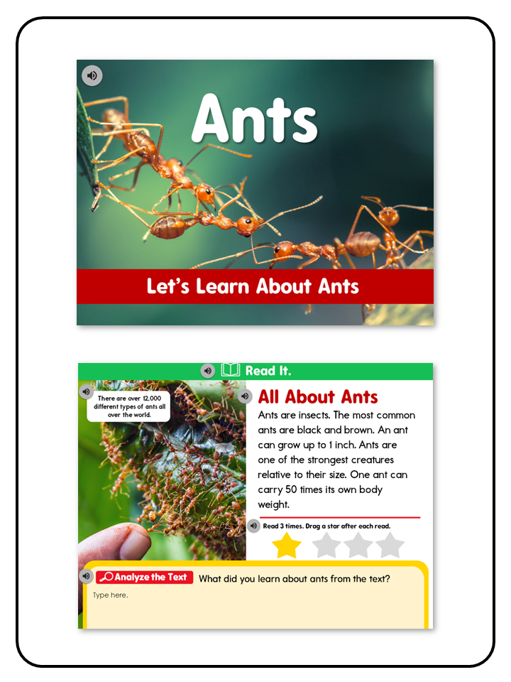 Listening Center All About Ants - Digital Resource