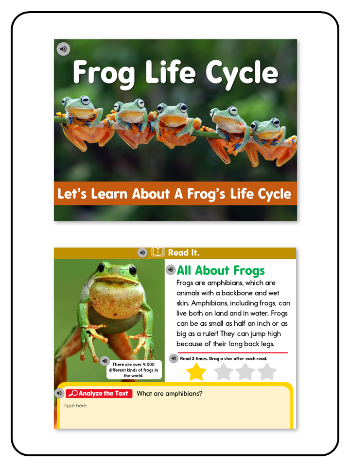 Listening Center All About Frog Life Cycle - Digital Resource