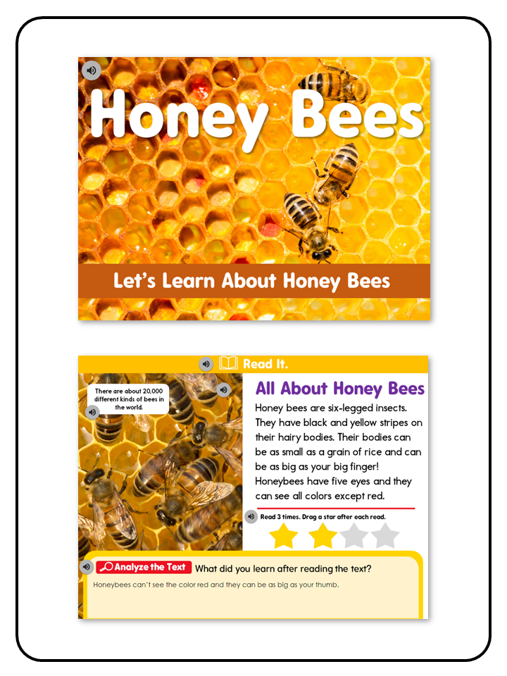 Listening Center All About Honey Bees - Digital Resource