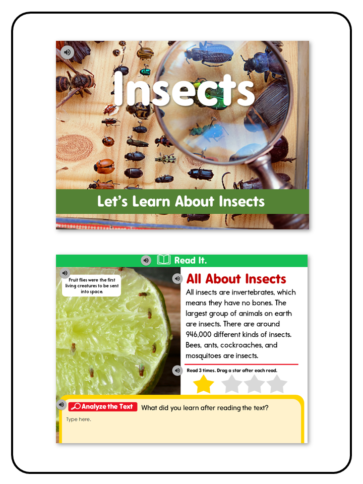 Listening Center All About Insects - Digital Resource